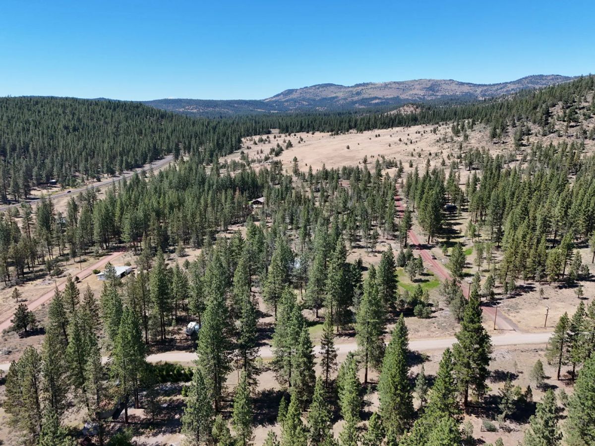 Decorative background for California Land for Sale, 1.01 Acres, near Rush Creek image 8