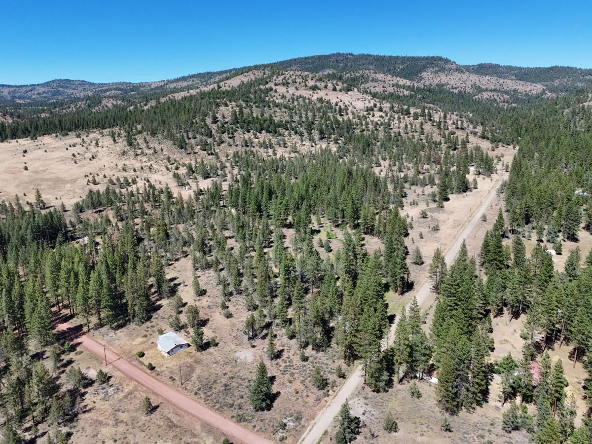 Decorative background for California Land for Sale, 1.01 Acres, near Rush Creek image 9