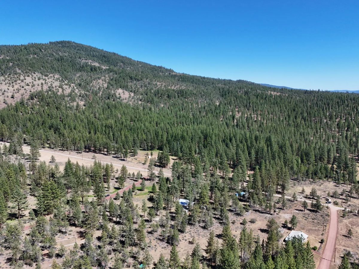 Decorative background for California Land for Sale, 1.01 Acres, near Rush Creek image 10