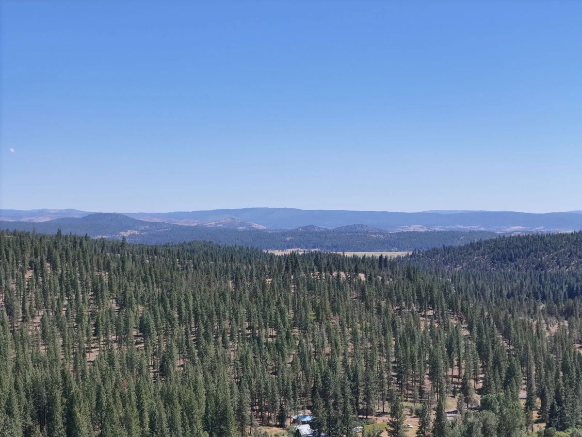 Decorative background for California Land for Sale, 1.01 Acres, near Rush Creek image 11