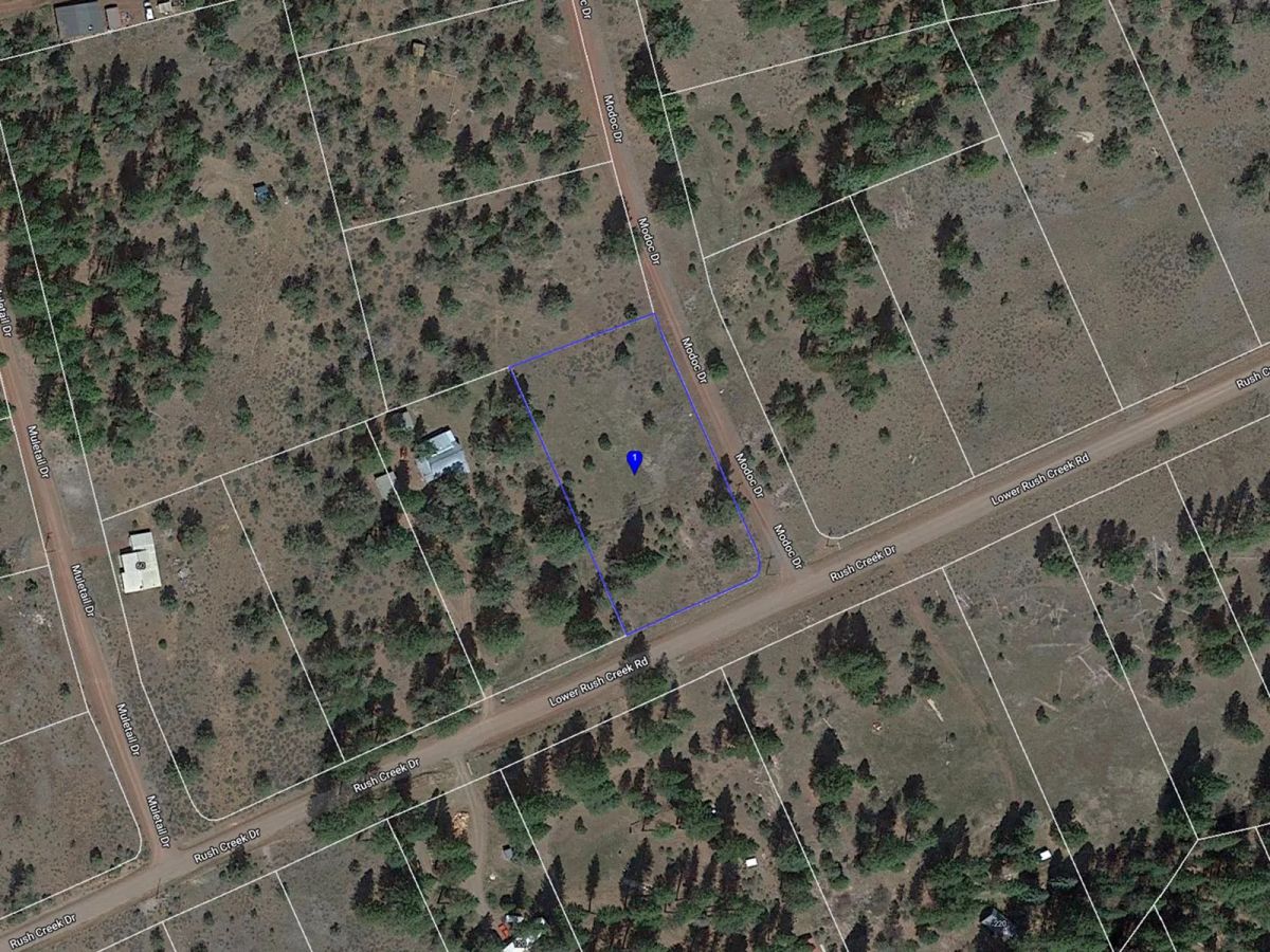 Decorative background for California Land for Sale, 1.01 Acres, near Rush Creek image 13