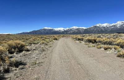 High Desert Plains Oasis