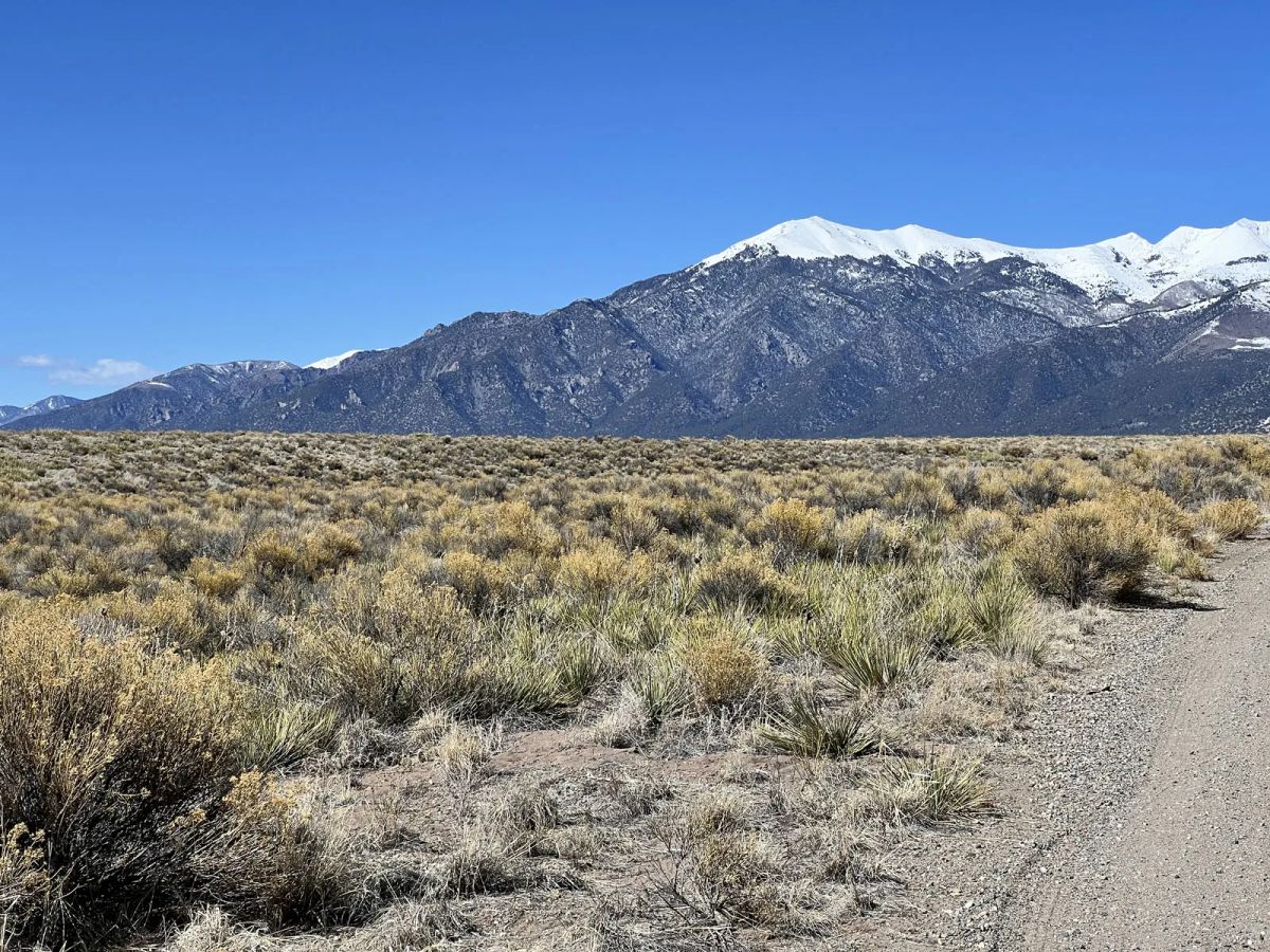 High Desert Plains Oasis - Image 3