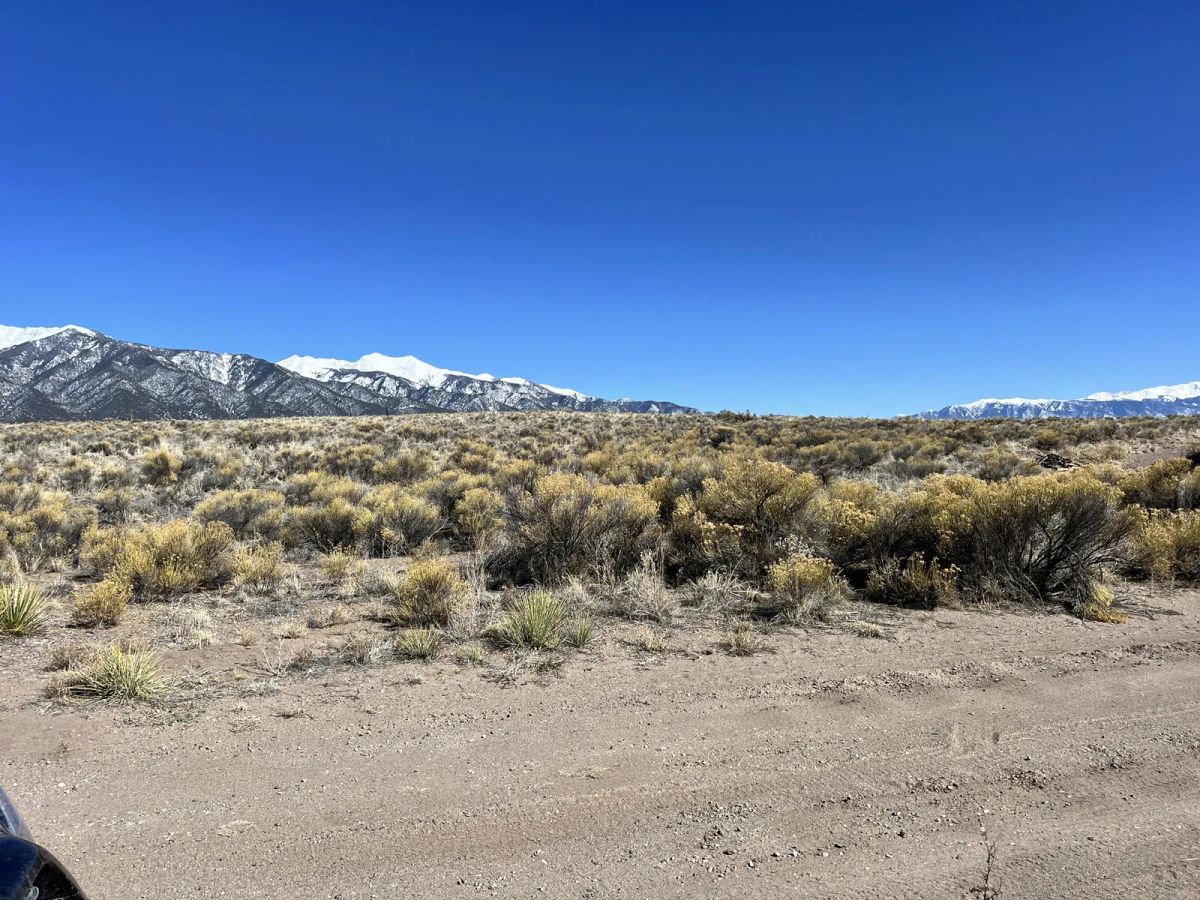 Decorative background for High Desert Plains Oasis image 5
