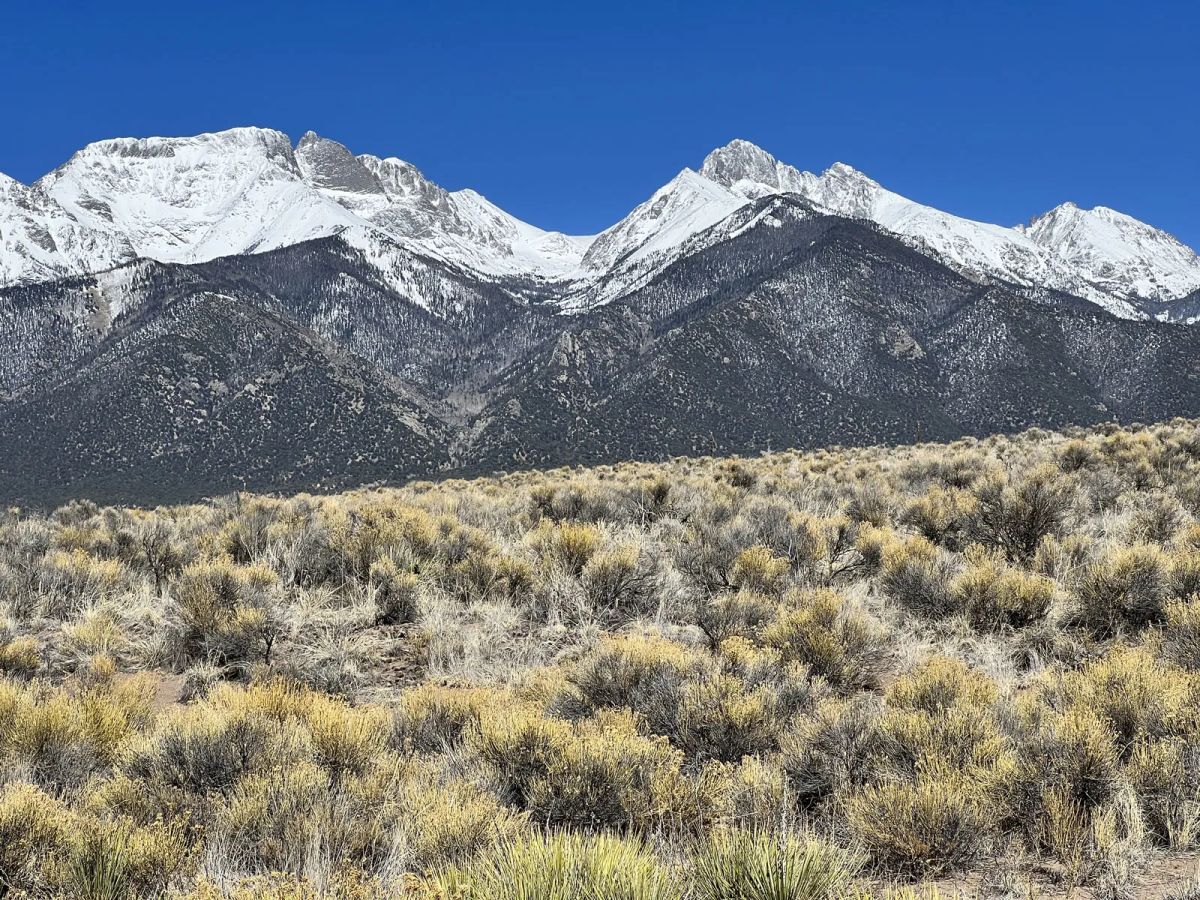 Decorative background for High Desert Plains Oasis image 6