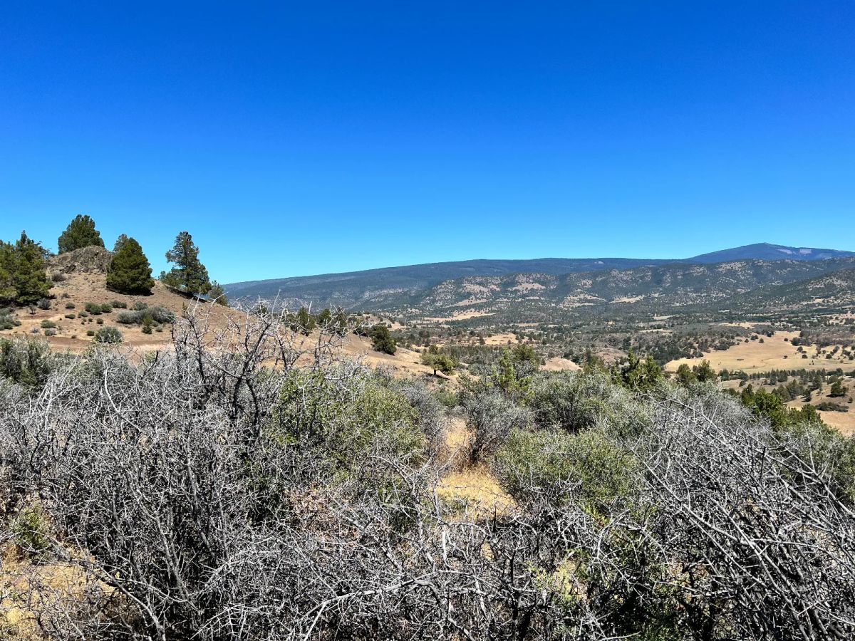 Decorative background for Great View Property, Power is Nearby image 5