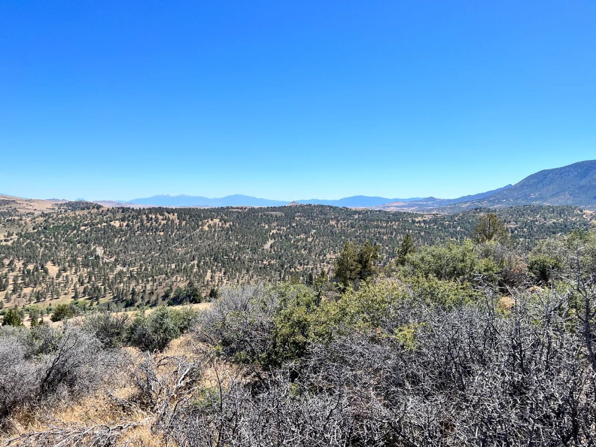 Decorative background for Great View Property, Power is Nearby image 6