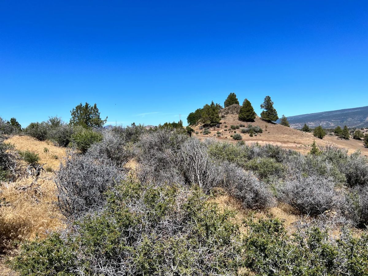 Decorative background for Great View Property, Power is Nearby image 7