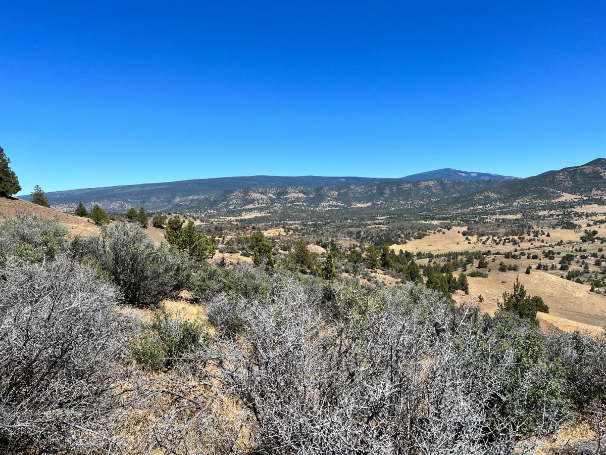 Decorative background for Great View Property, Power is Nearby image 8