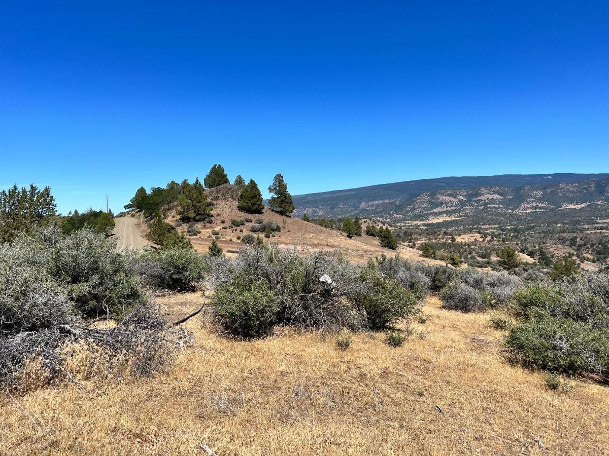 Decorative background for Great View Property, Power is Nearby image 9
