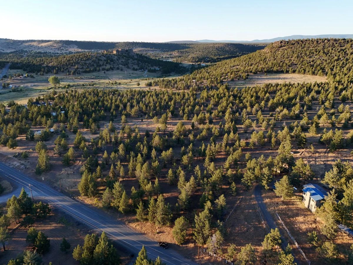 Decorative background for Power, County Maintained Road, Great Build Site image 13