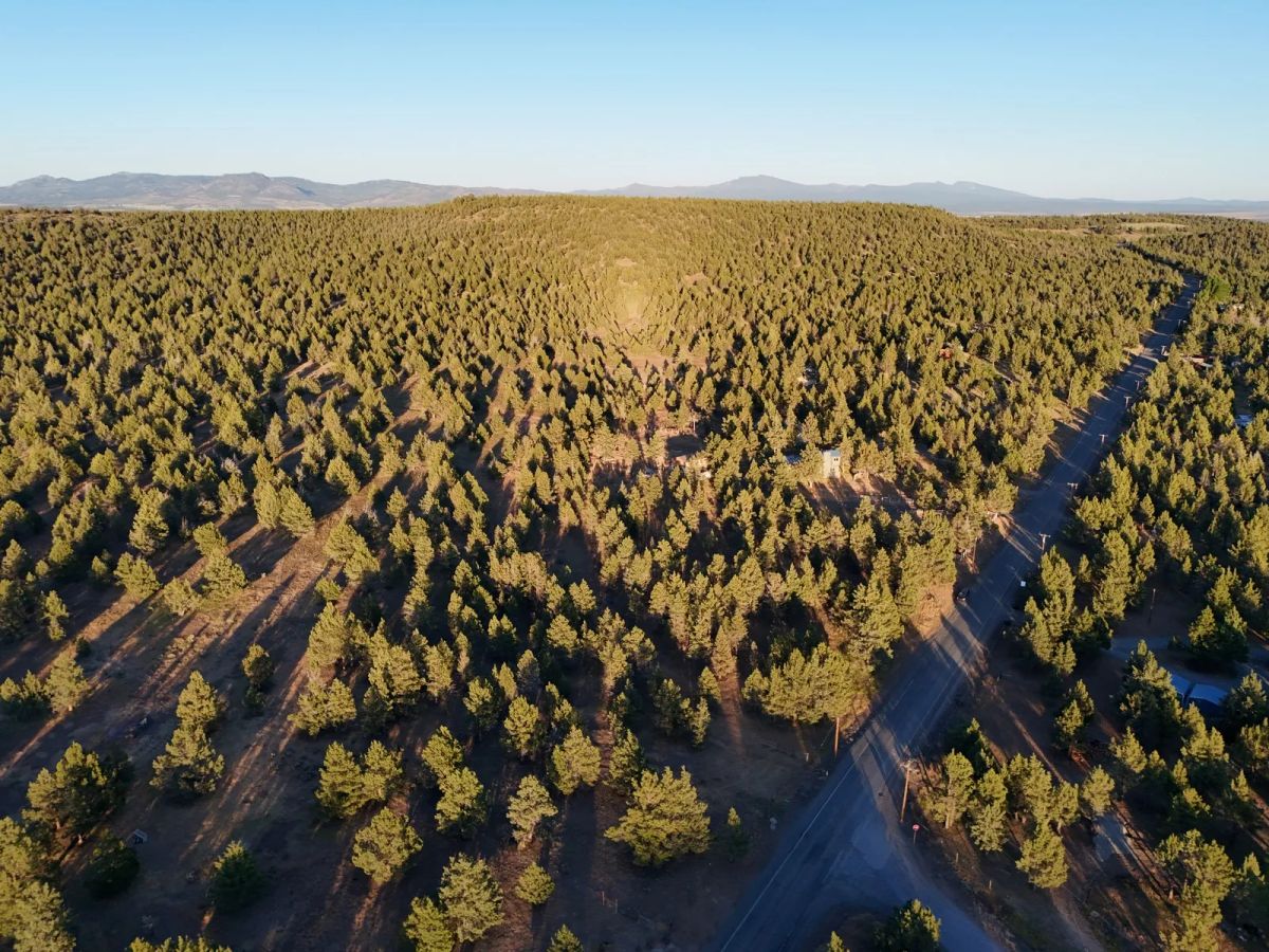 Decorative background for Power, County Maintained Road, Great Build Site image 15
