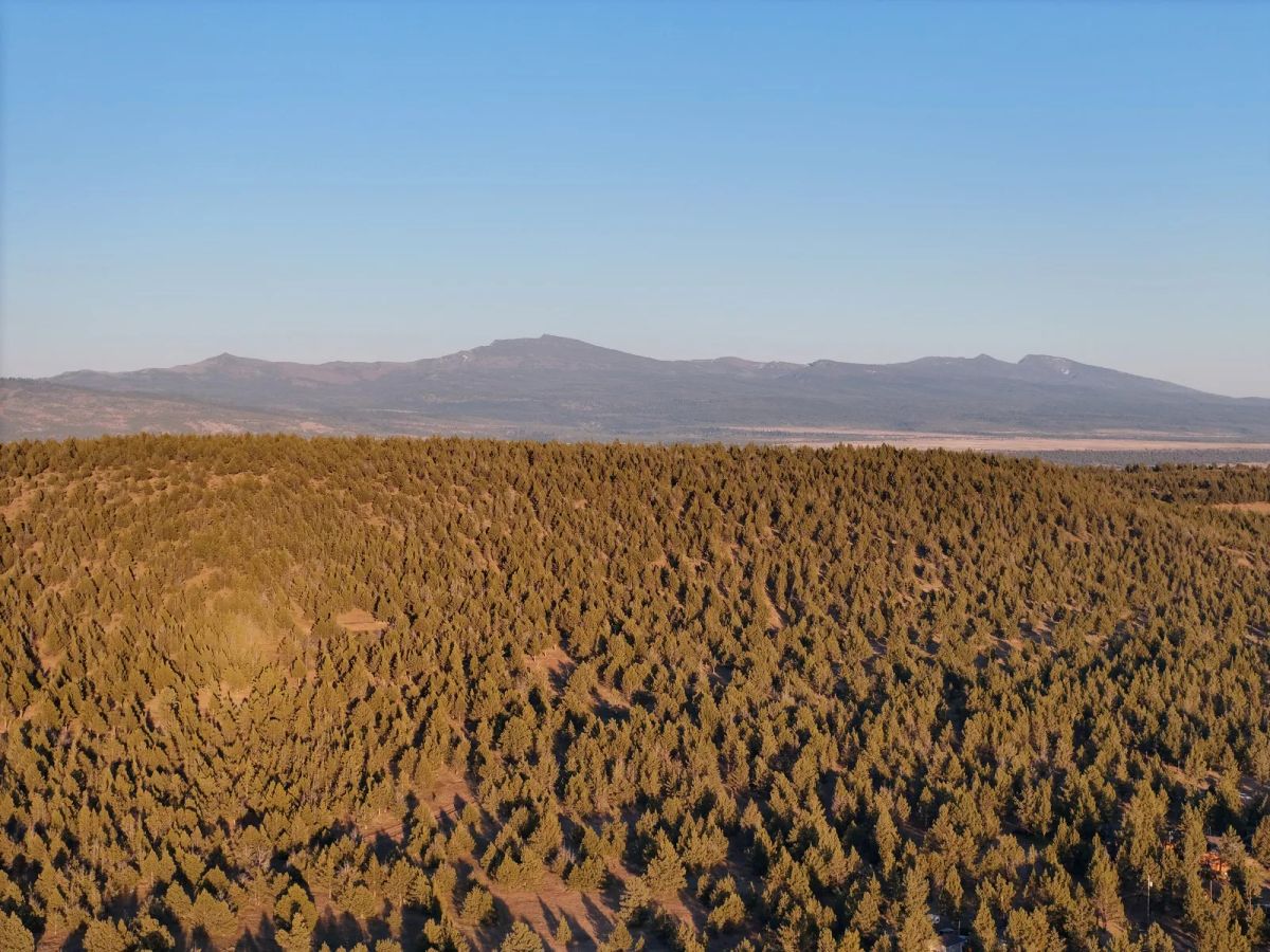 Decorative background for Power, County Maintained Road, Great Build Site image 19