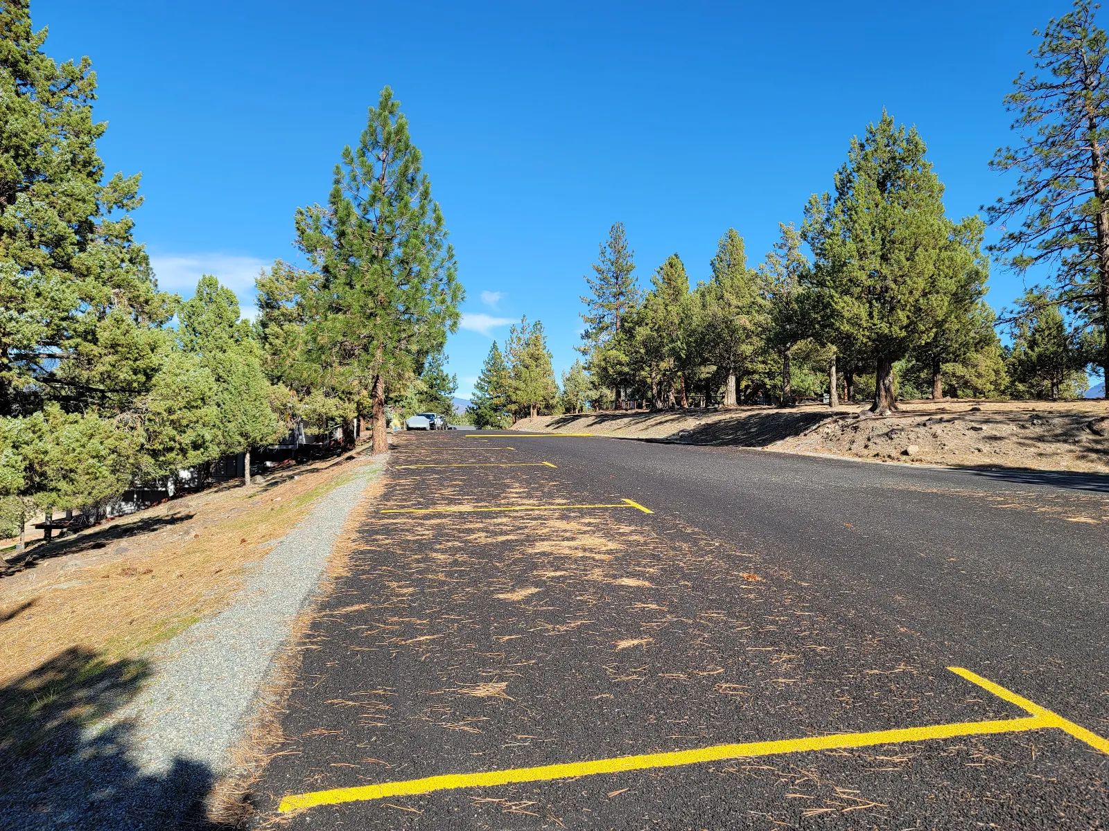 Lake Front, 4 Lots Included in Siskiyou County, CA