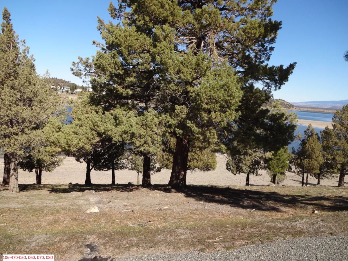 Decorative background for Lake Front, 4 Lots Included image 5