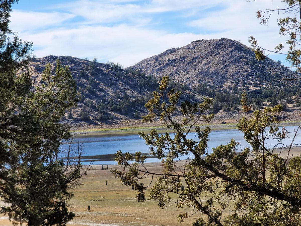Decorative background for Lake Front, 4 Lots Included image 7