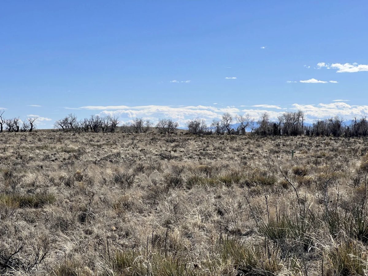 Decorative background for Sprawling Saguache County Colorado Land with Views image 9