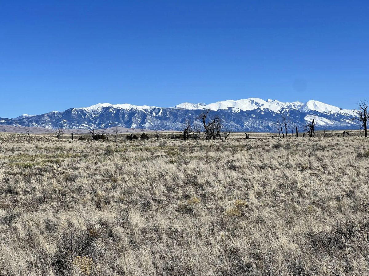 Decorative background for Sprawling Saguache County Colorado Land with Views image 10