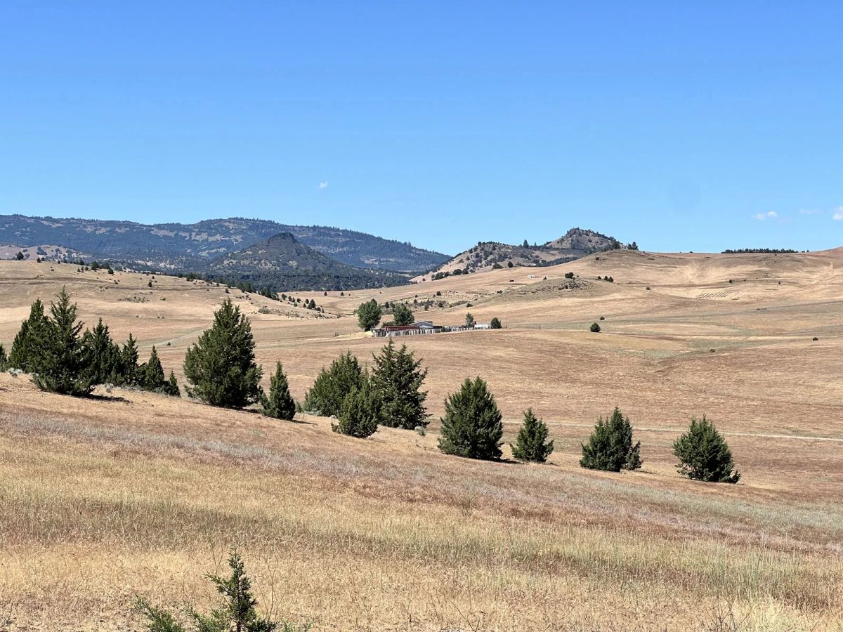 Valley and Mountain Views, Near Water Activities - Image 2