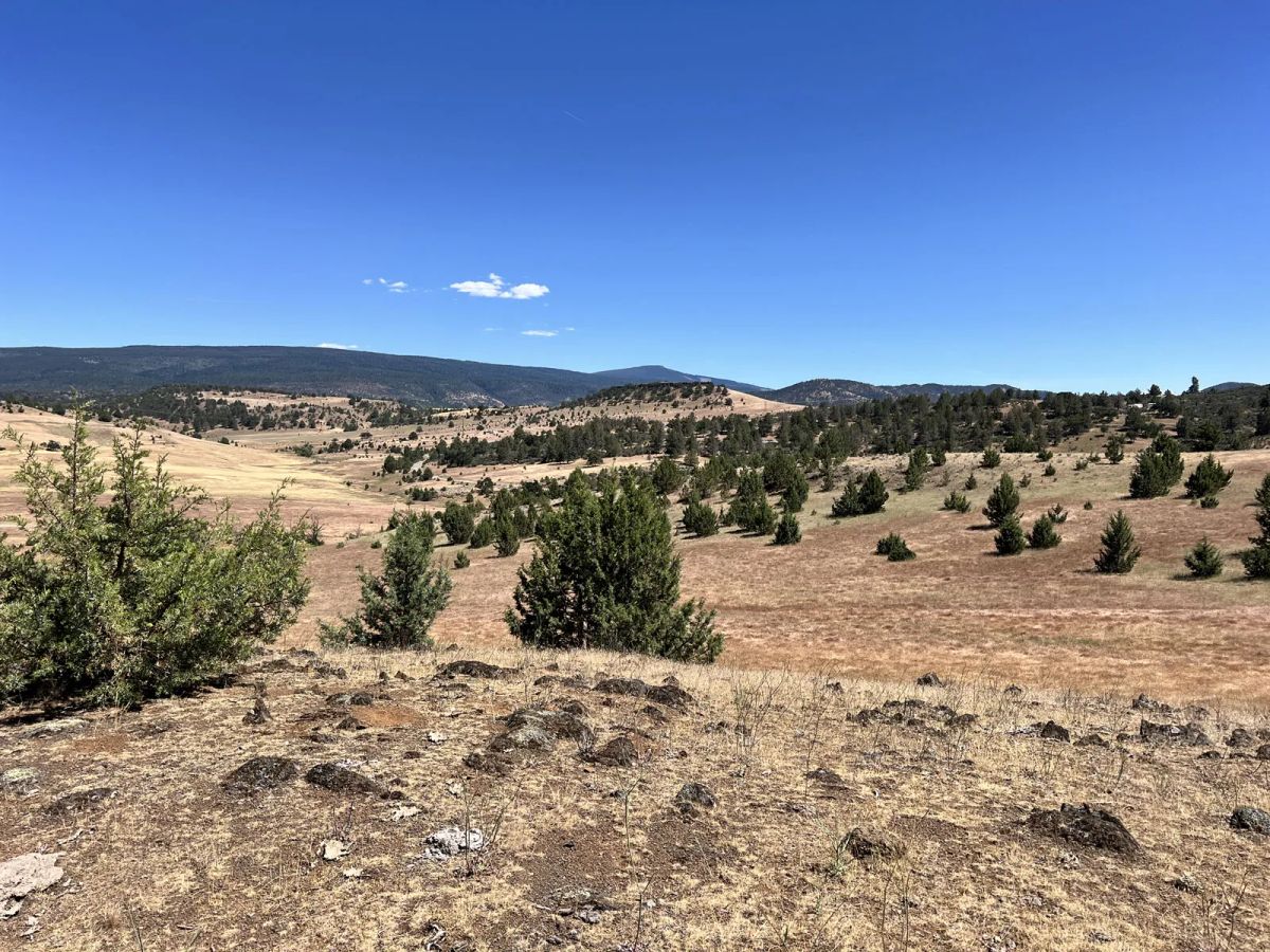 Decorative background for Valley and Mountain Views, Near Water Activities image 6