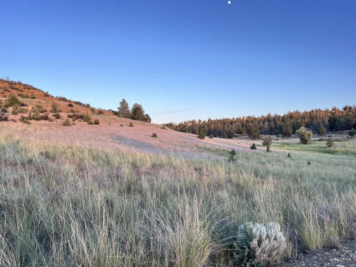 Decorative background for Power Close, Valley Views image 8