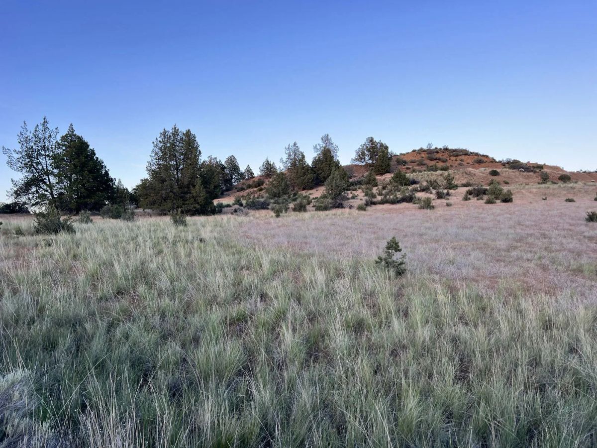 Decorative background for Power Close, Valley Views image 9