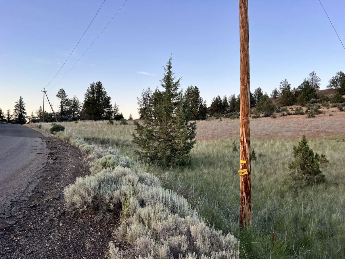 Decorative background for Power Close, Valley Views image 10