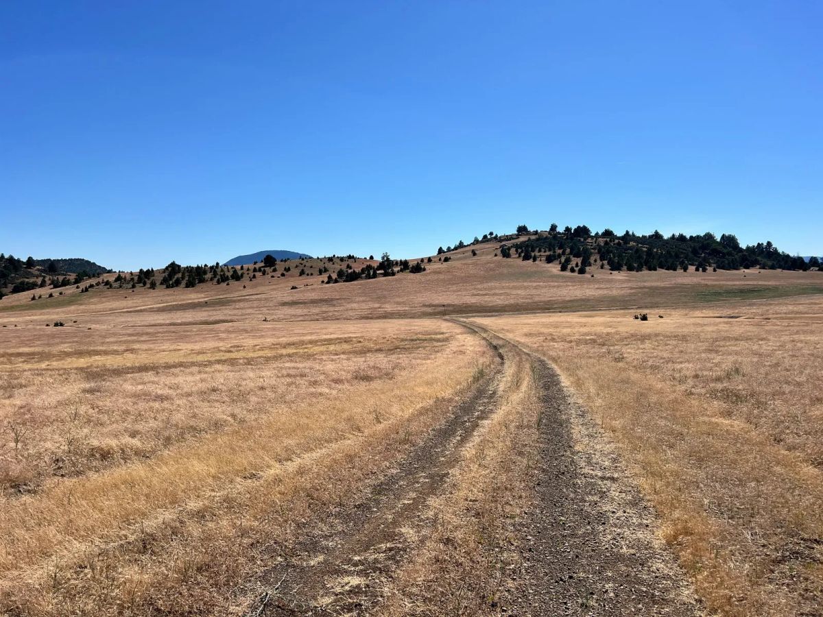 Level and Open Pasture Property - Main image
