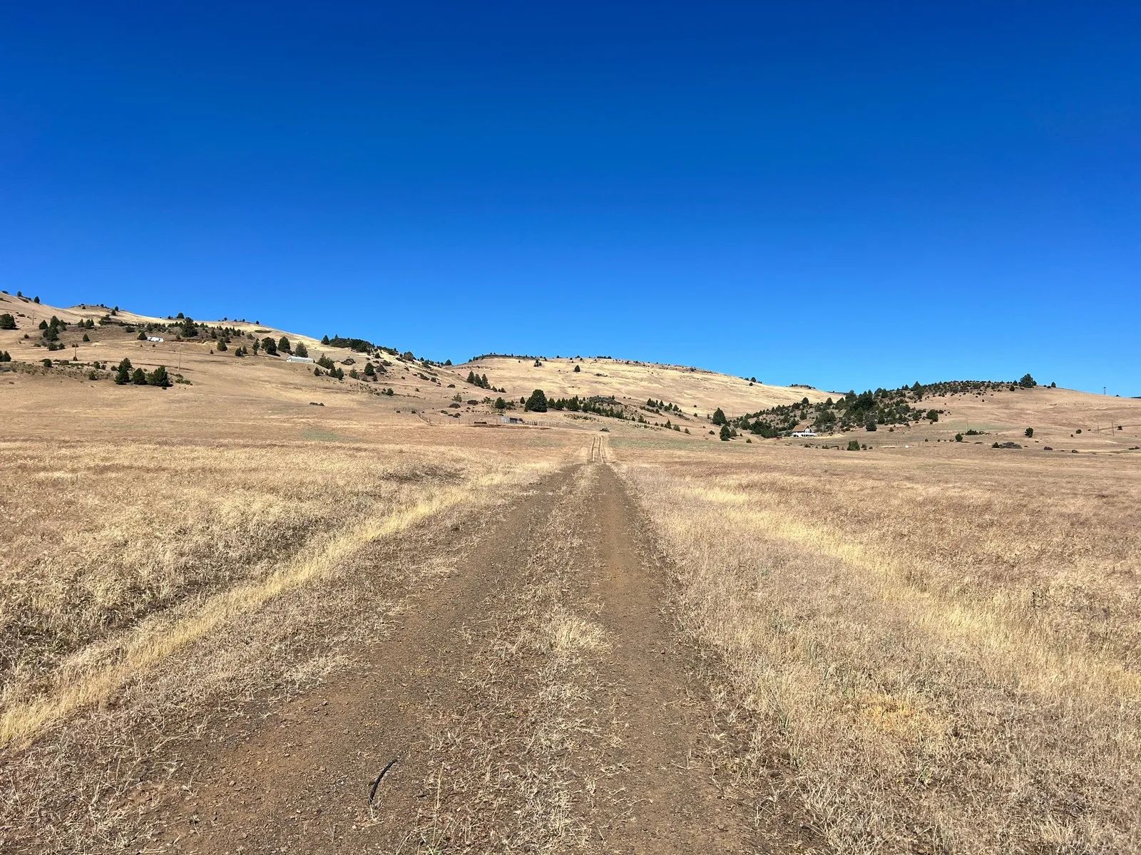 Level and Open Pasture Property in Siskiyou County, CA