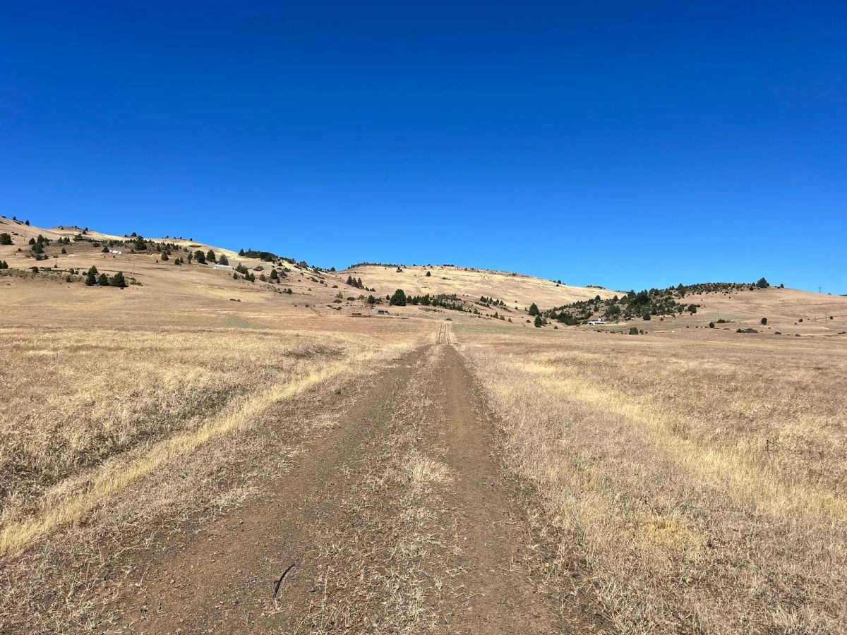 Level and Open Pasture Property - Image 2