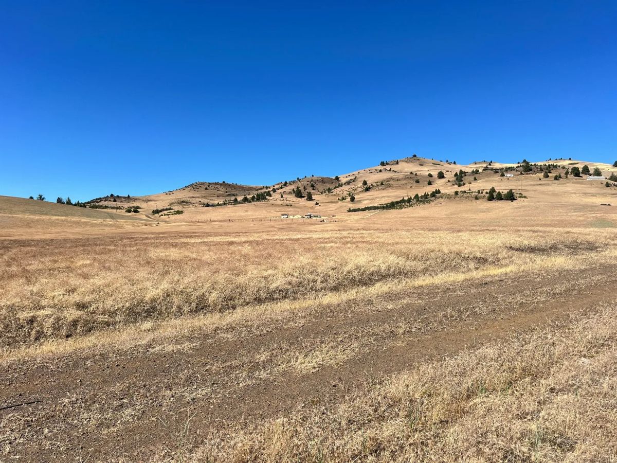 Level and Open Pasture Property - Image 4