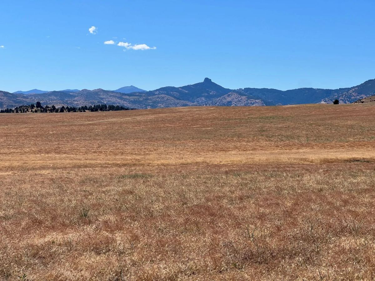 Decorative background for Level and Open Pasture Property image 6