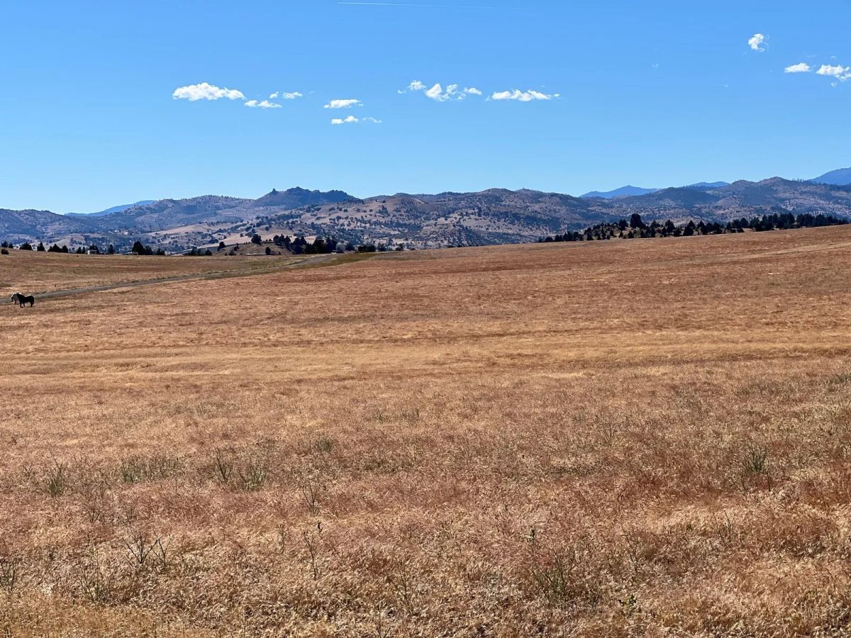 Decorative background for Level and Open Pasture Property image 9