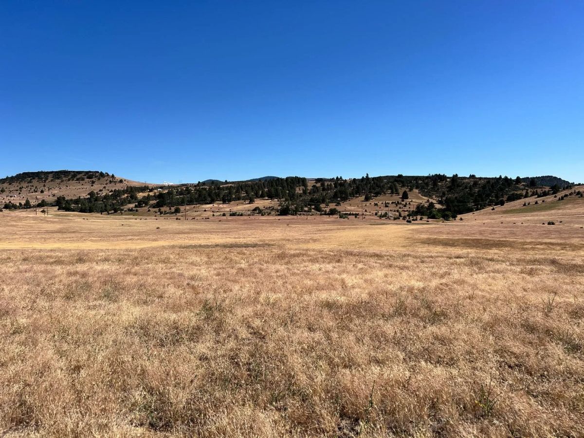 Decorative background for Level and Open Pasture Property image 12