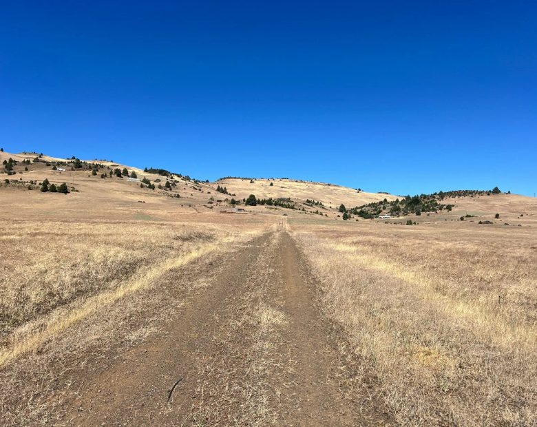 Level and Open Pasture Property in Siskiyou County, CA