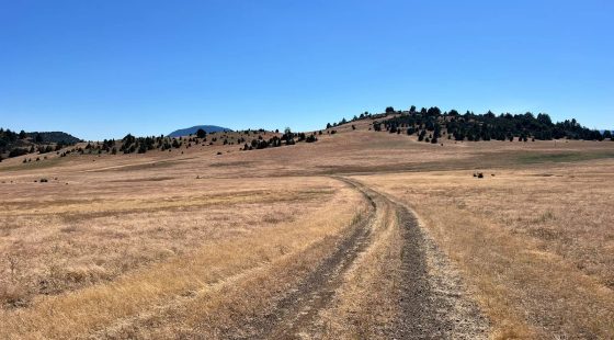 Level and Open Pasture Property in Siskiyou County, CA