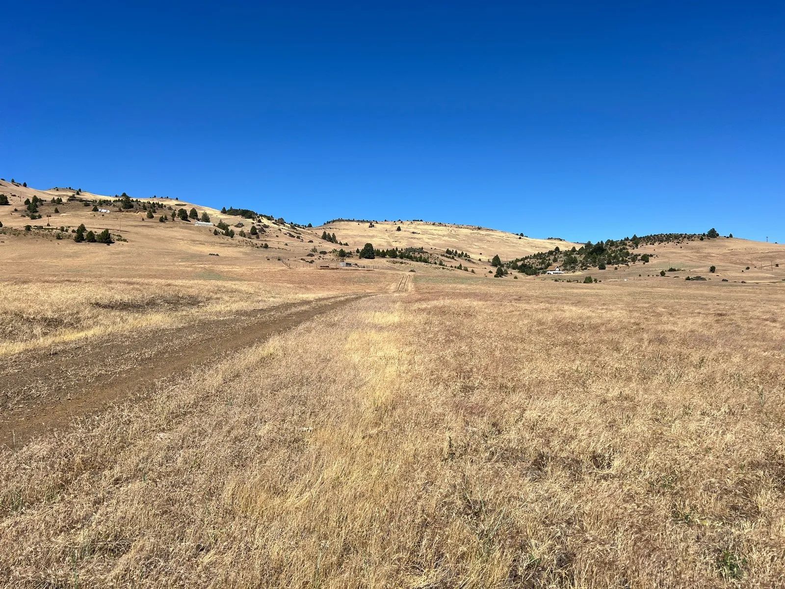 Level and Open Pasture Property in Siskiyou County, CA