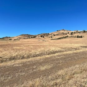 Level and Open Pasture Property in Siskiyou County, CA