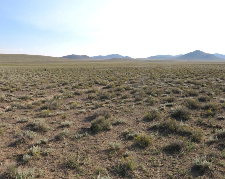 Open Range in Costilla County, CO