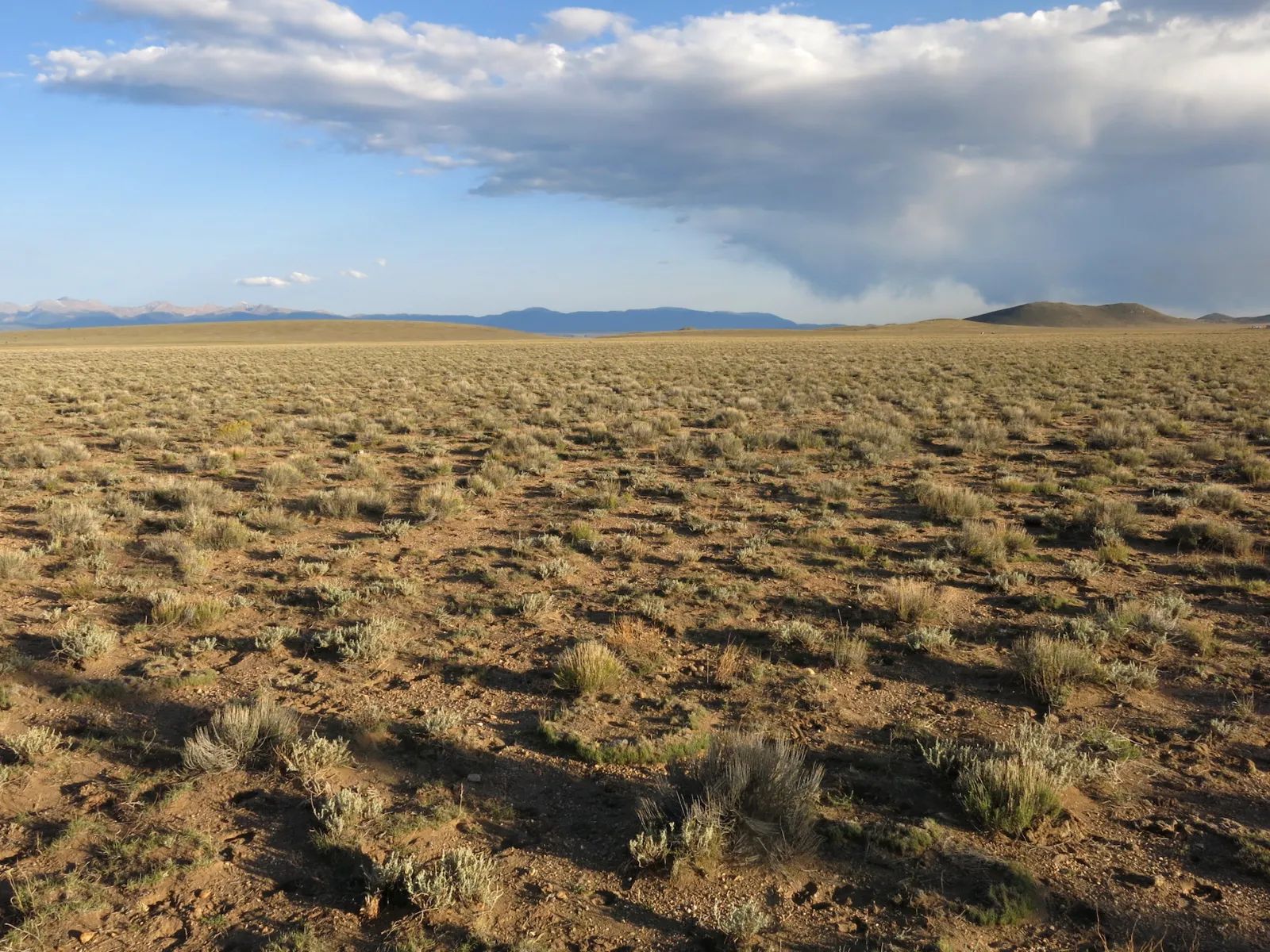 Open Range in Costilla County, CO