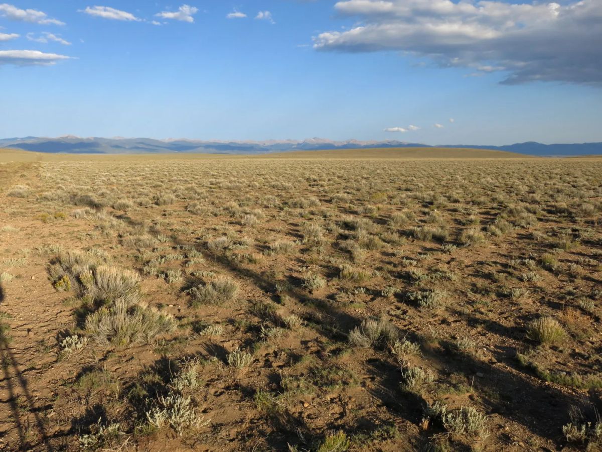 Open Range - Image 3