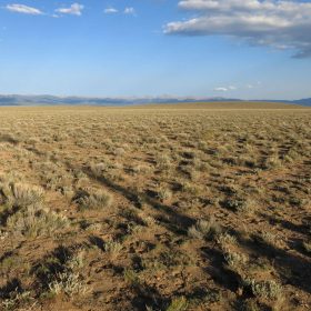 Open Range in Costilla County, CO