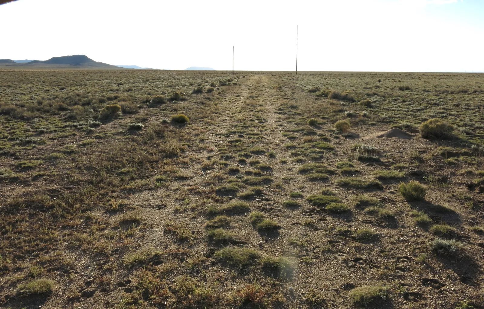 Open Range in Costilla County, CO