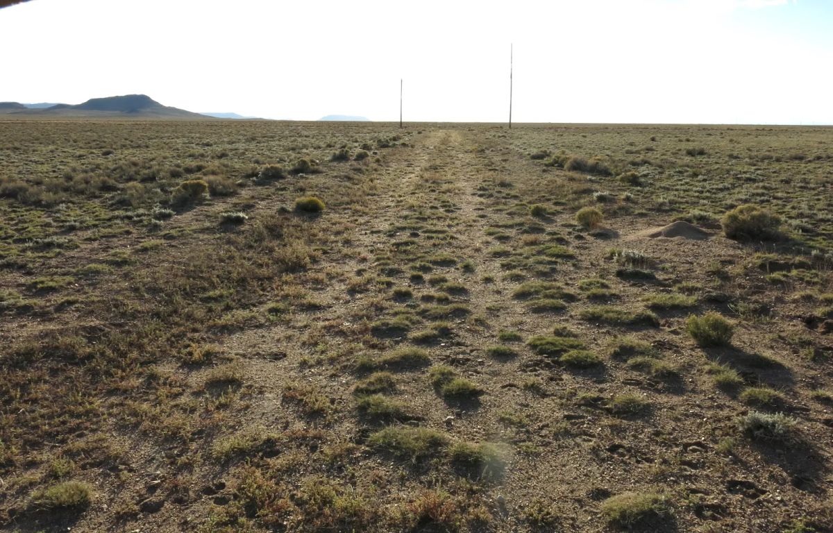 Open Range - Image 4