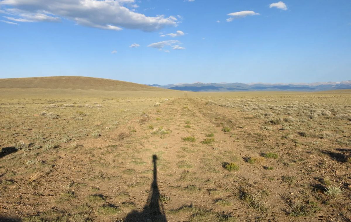 Decorative background for Open Range image 5