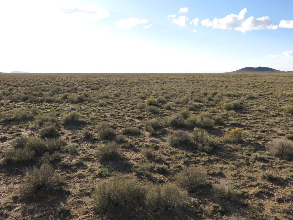 Decorative background for Open Range image 8