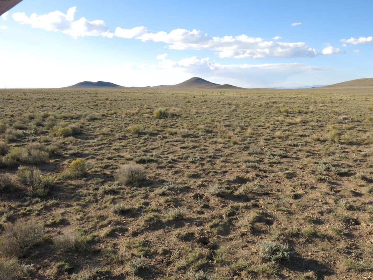 Decorative background for Open Range image 10