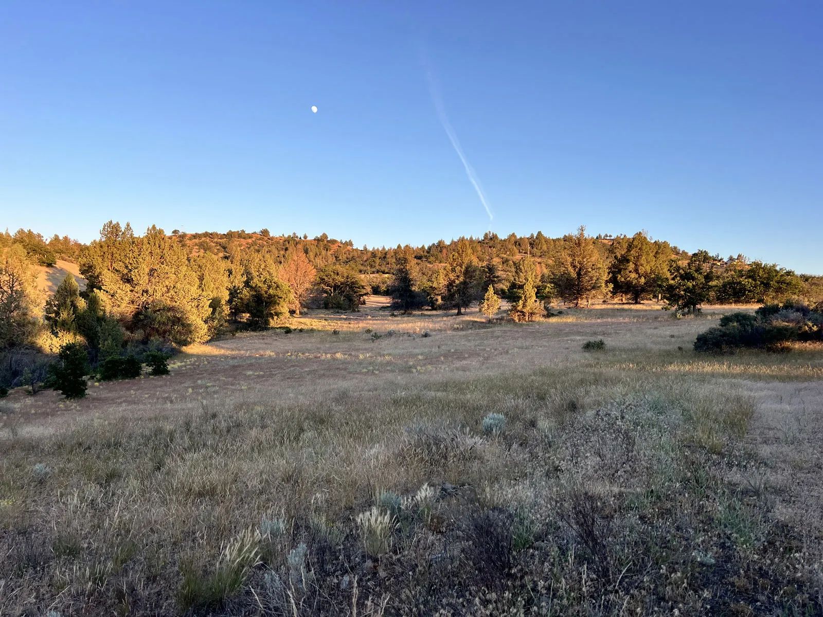 Power, Sloped Lot with Valley View in Siskiyou County, CA