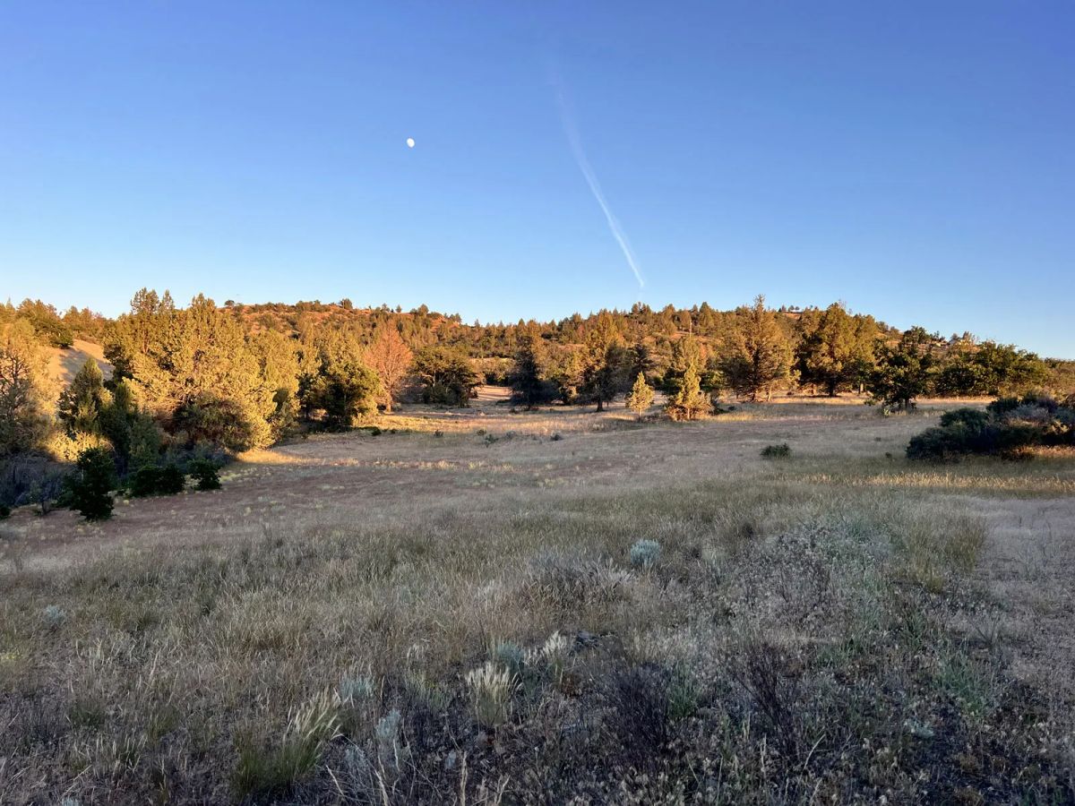 Power, Sloped Lot with Valley View - Image 2