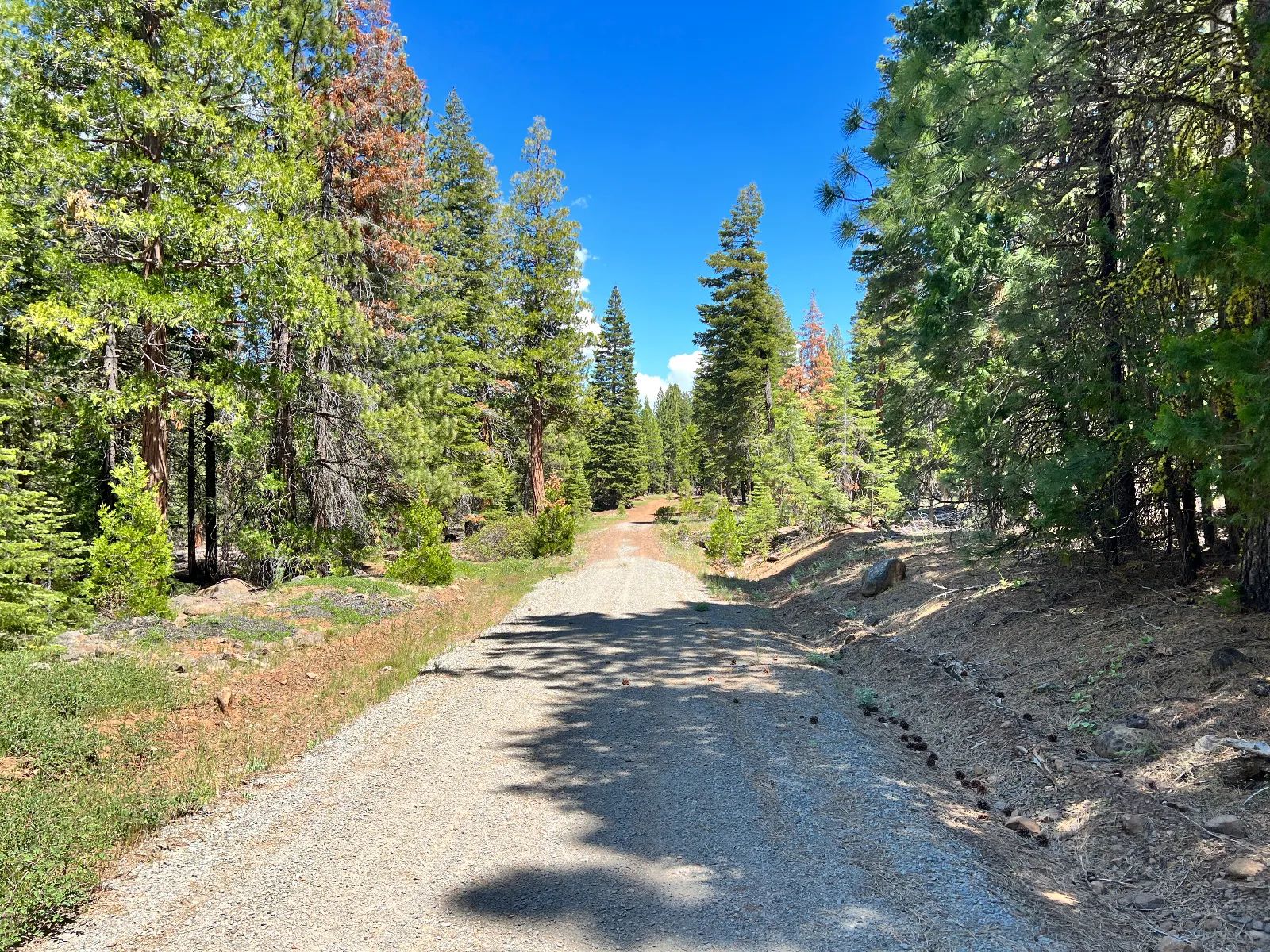 Nearly An Acre, Recent Road Upgrade in Modoc County, CA